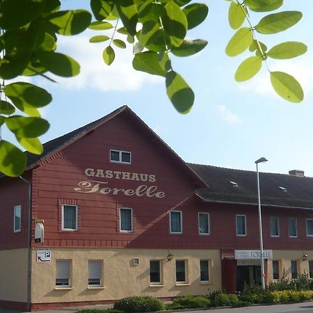Gasthaus Forelle 塔勒 外观 照片