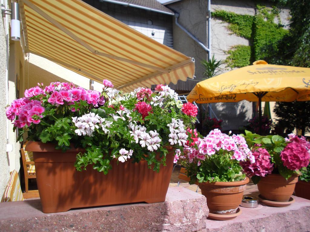 Gasthaus Forelle 塔勒 外观 照片