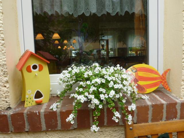 Gasthaus Forelle 塔勒 外观 照片